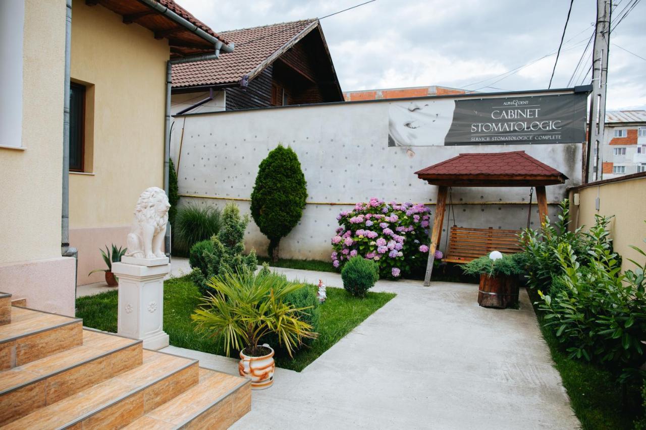 Pensiunea Casa Cristal Тиргу-Жіу Екстер'єр фото